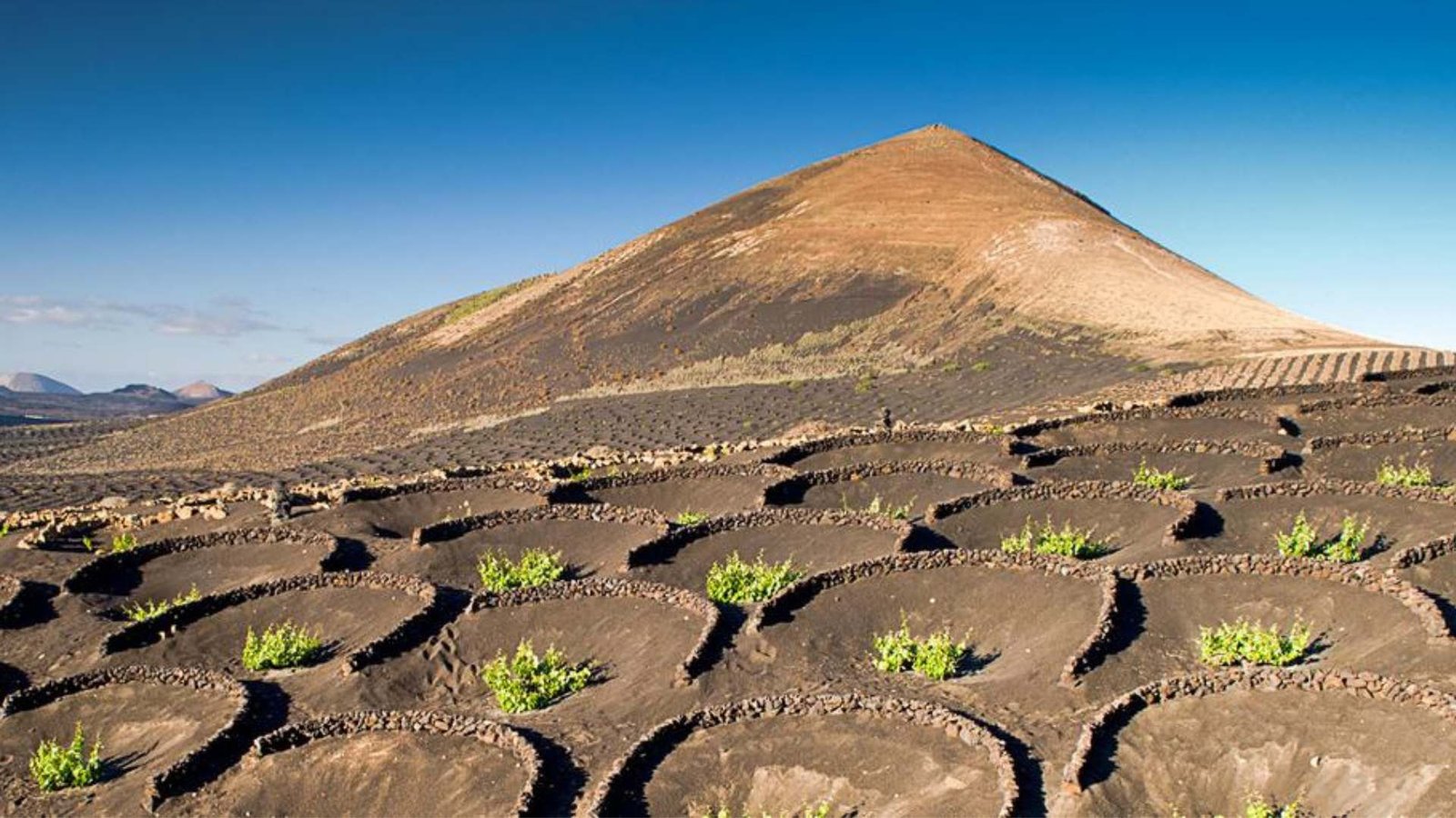 La ONU pide que se deje de «vandalizar» la tierra y se ayude al planeta a prosperar