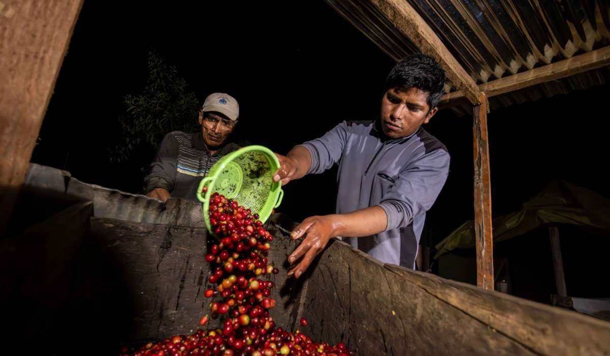 BancoSol lanza Impacta para impulsar la conservación, la reducción de emisiones y las finanzas verdes