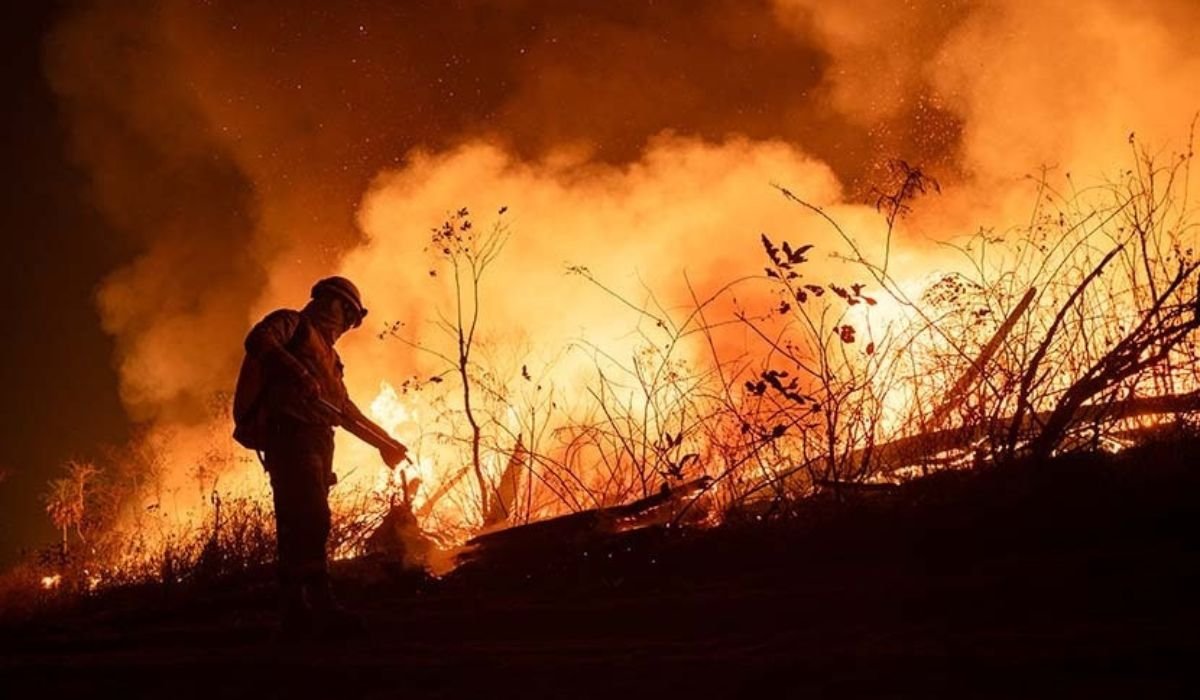 Fundación Tierra identifica a cuatro grupos detrás de los incendios forestales de 2024