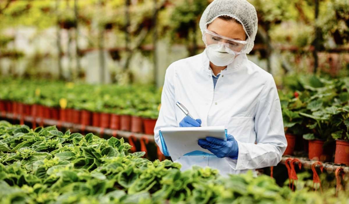 Legado 2025, la oportunidad para los emprendimientos y la innovación en salud y agro