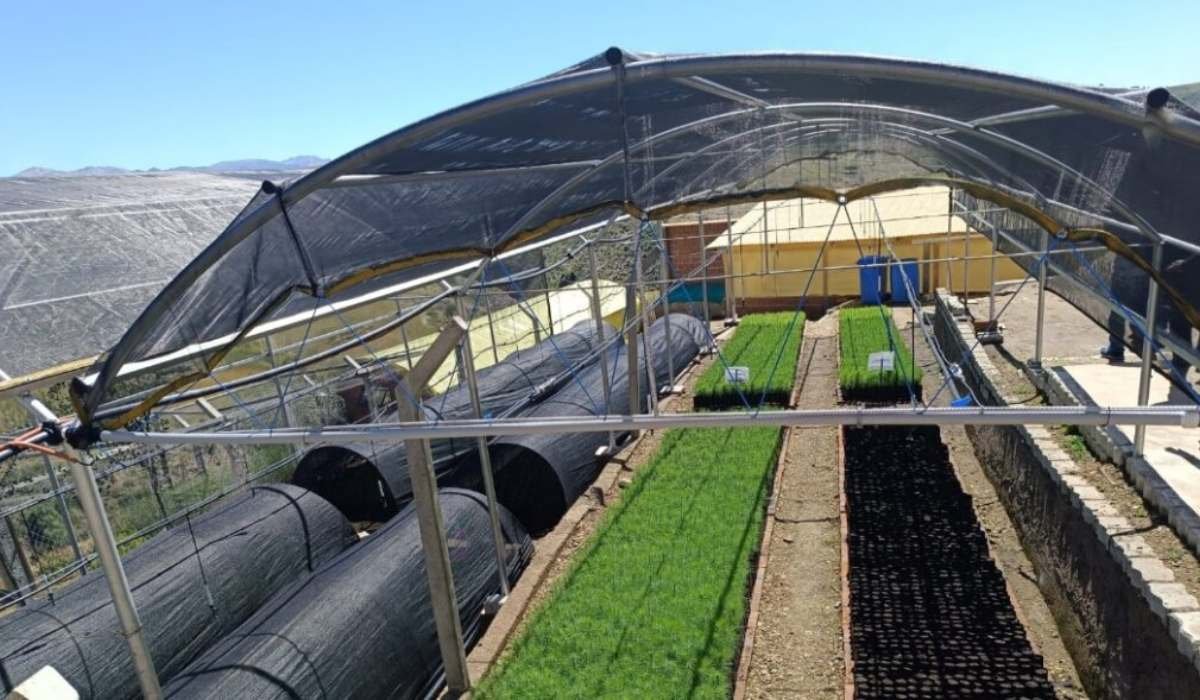 Organizaciones demandan el fomento de sistemas agroecológicos sostenibles frente al cambio climático