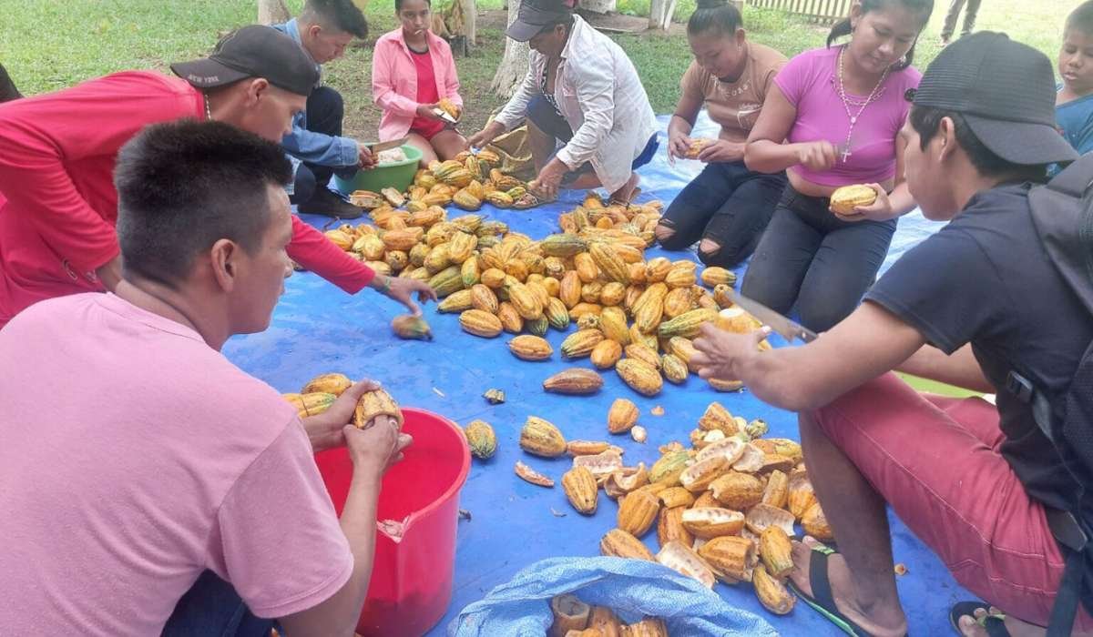 El fútbol, el cacao y las abejas unen a los jóvenes reforestadores de seis comunidades en Riberalta