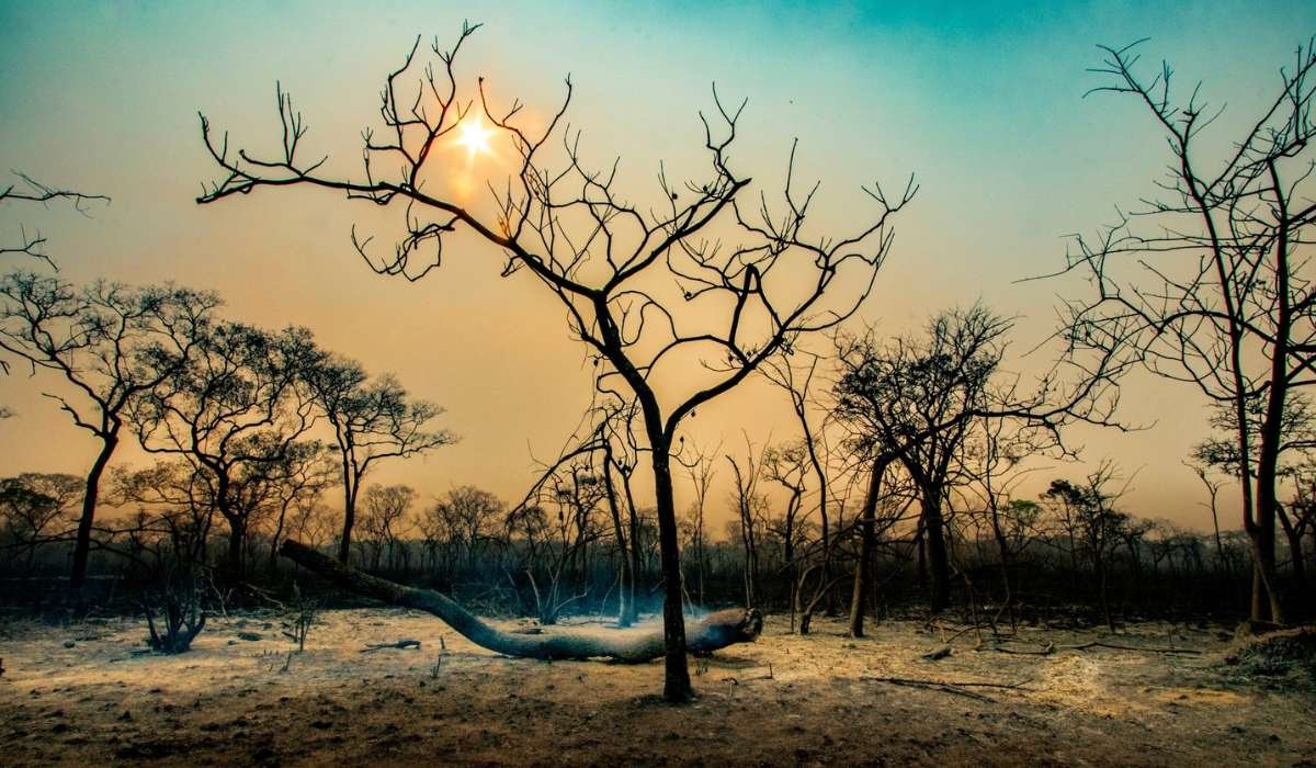 CIDH urge al Estado boliviano a proteger a pueblos indígenas y frenar incendios con nuevo plan nacional