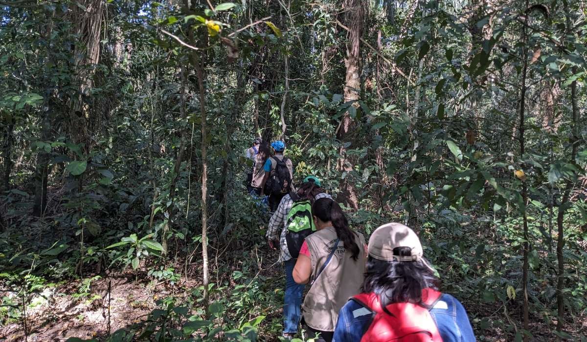 Pueblos indígenas se preparan para fortalecer el monitoreo territorial frente a nuevas amenazas