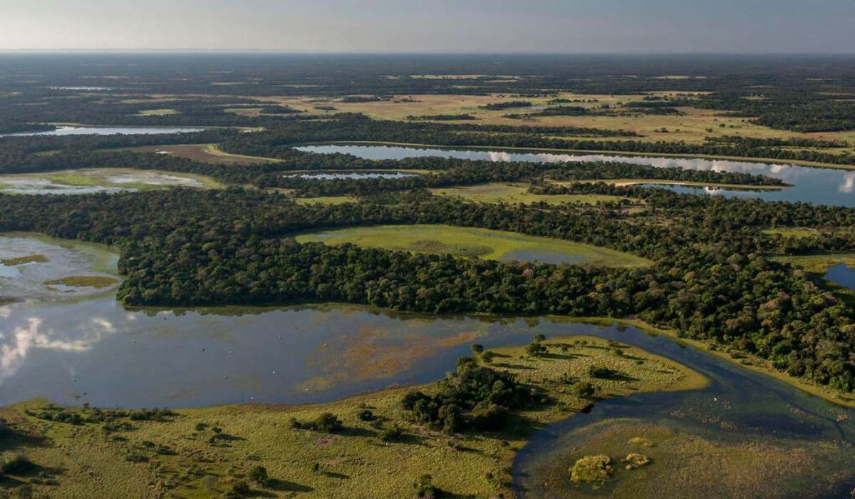 PantaNow: Bolivia, Brasil y Paraguay unen esfuerzos para proteger el Pantanal
