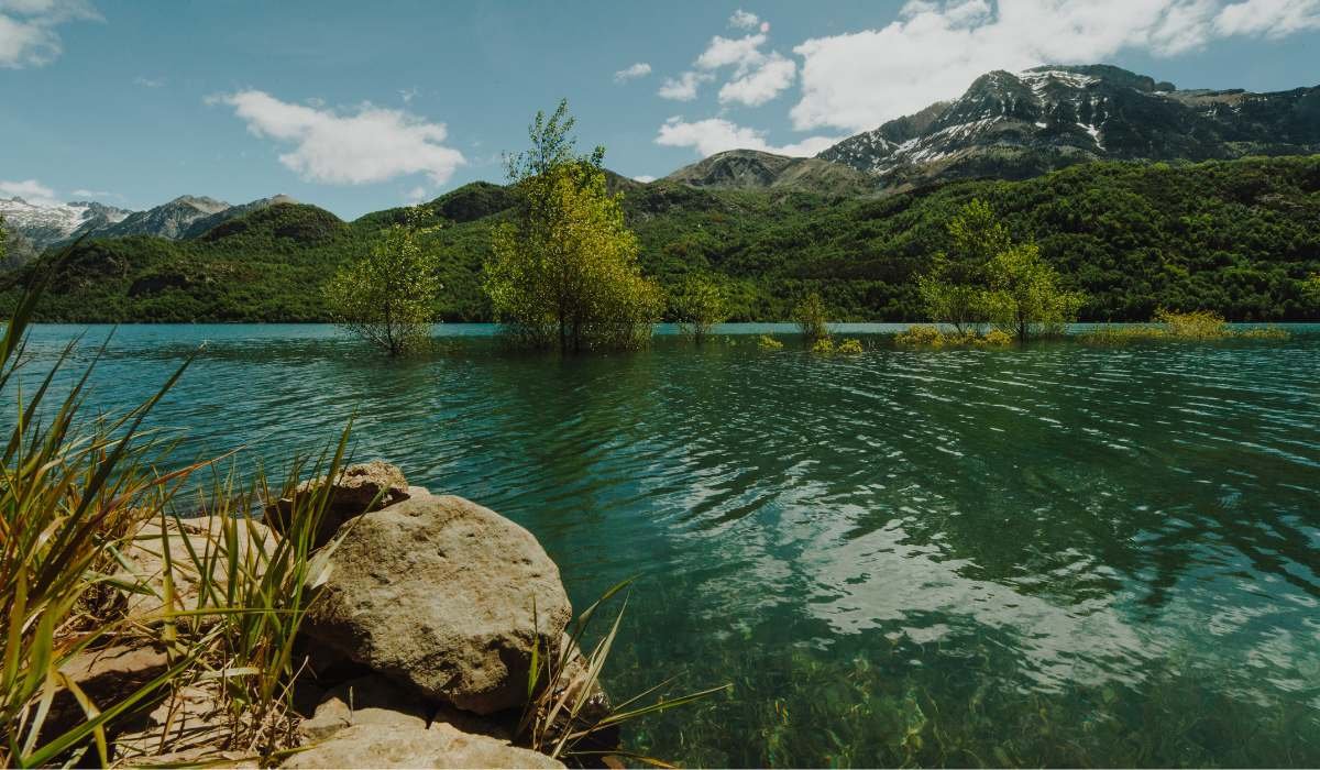 Banco Mundial: proteger la naturaleza impulsa el crecimiento y el empleo