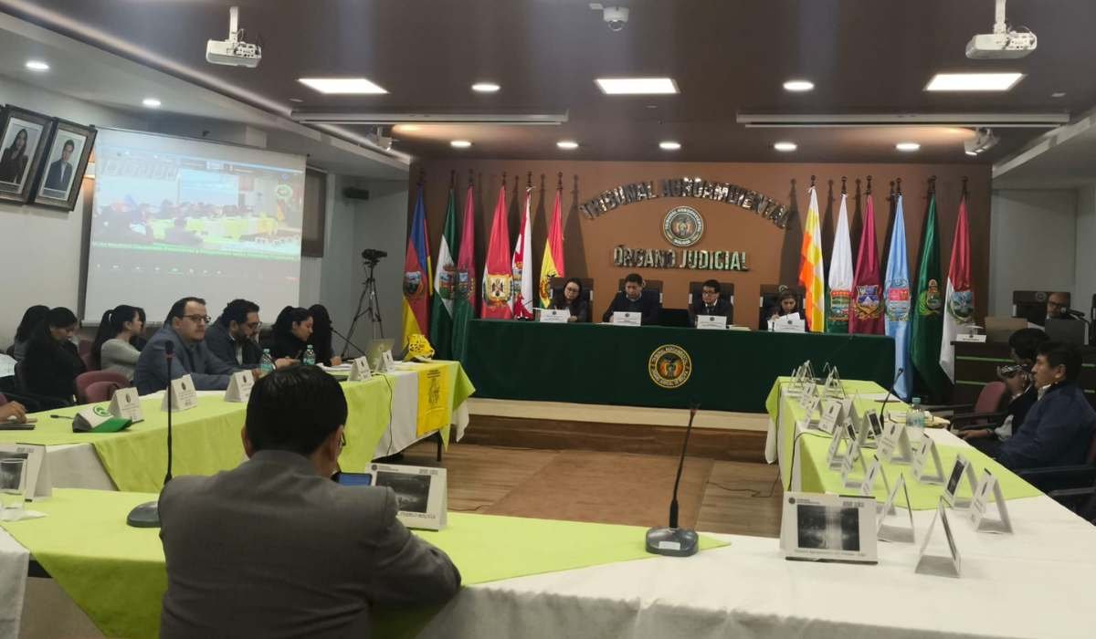 Tribunal Agroambiental da plazo de 48 horas para que se activen medidas precautorias frente a los incendios