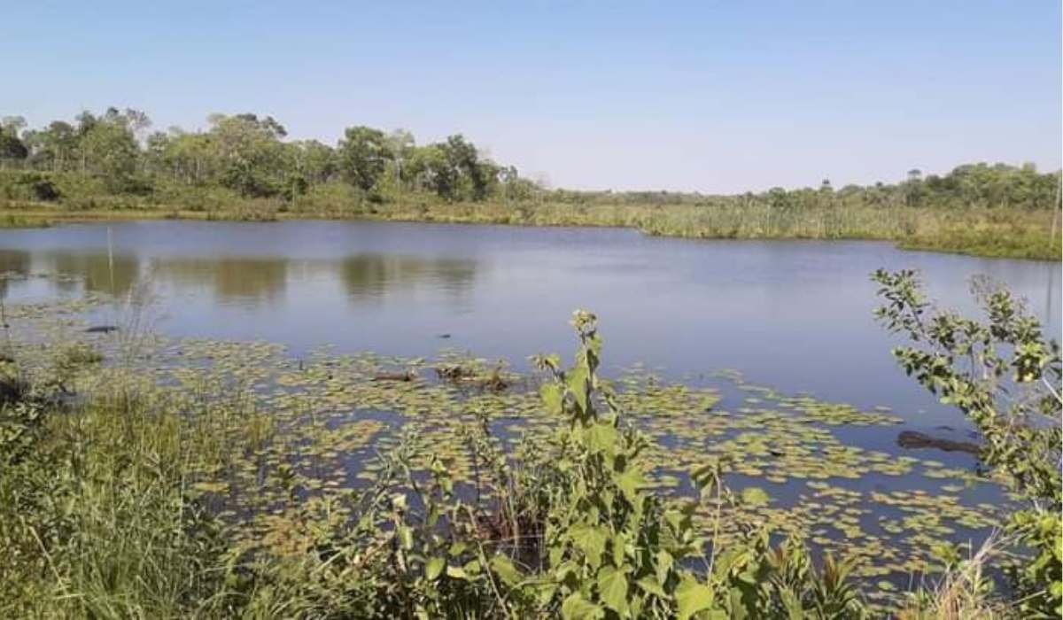 San Lorenzo, el río que respira bajo el cemento y que hoy puede hacer historia en la justicia ambiental