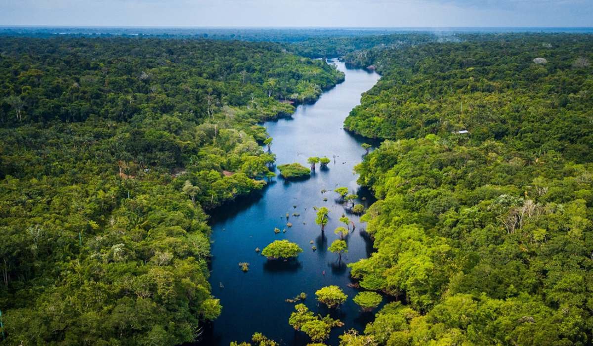 Gobierno garantiza que el cuidado del medio ambiente será integral y transversal