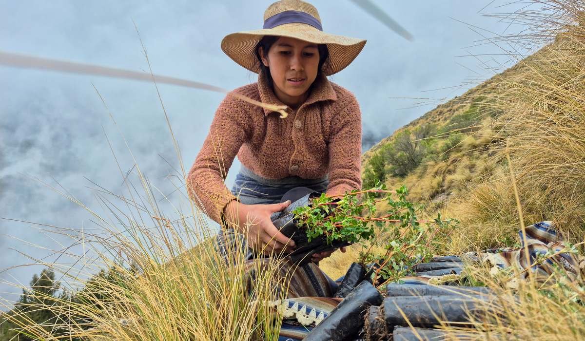 Comunidades del Tunari lideran gran reforestación para proteger las fuentes hídricas del eje metropolitano