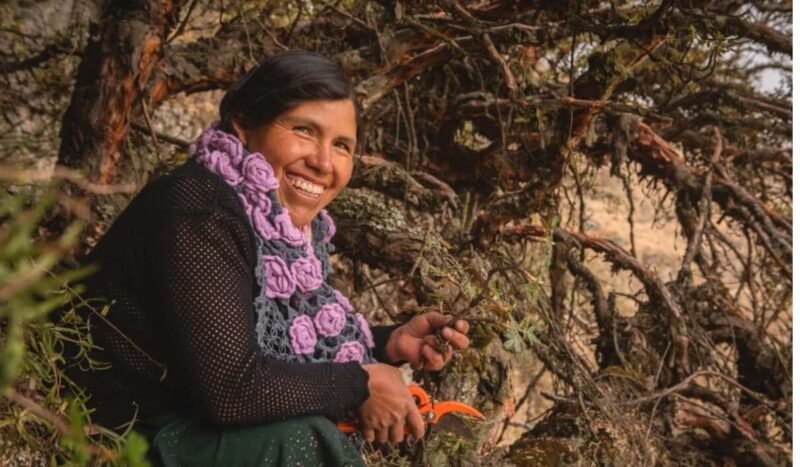 Mujeres kewiña restauran bosques andinos para proteger el agua del Parque Nacional Tunari