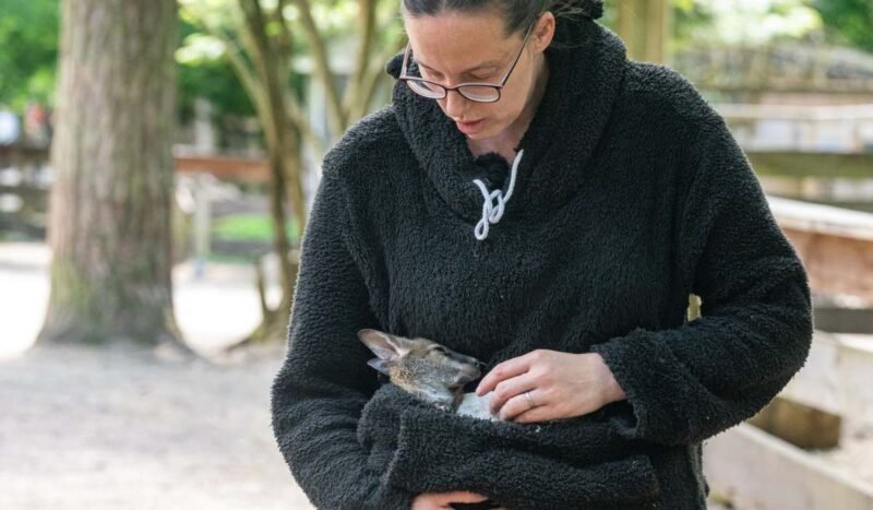 La directora de un zoológico alemán es madre sustituta de una pequeña canguro