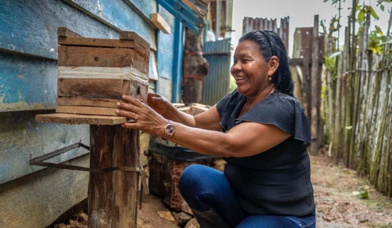 Tres iniciativas de mujeres indígenas para proteger a las abejas en Latinoamérica