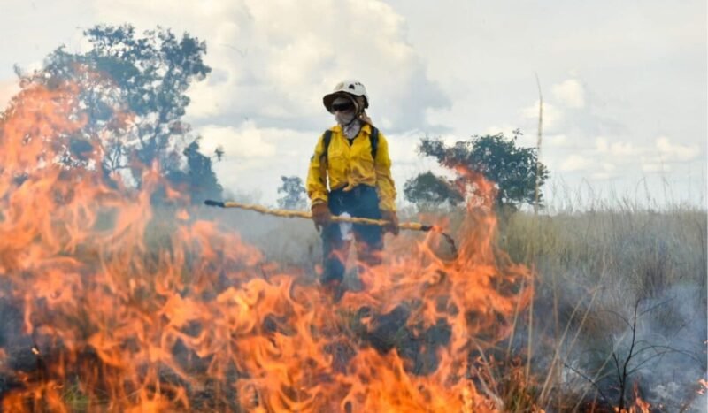 De Colombia a Argentina: cómo El Niño podría intensificar los incendios forestales en 2026 y 2027