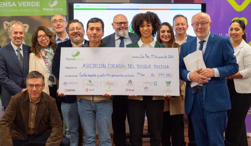 Un proyecto para salvar a las abejas nativas de los Yungas ganó el fondo concursable «Piensa Verde 2026»