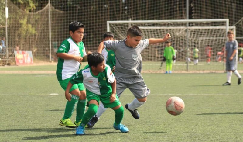 La Copa Tahuichi también se jugará fuera de la cancha para marcar goles por el medio ambiente
