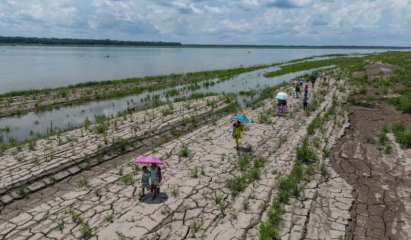 Una crisis silenciosa avanza desde Centroamérica hasta la Amazonía y el Chaco sudamericano