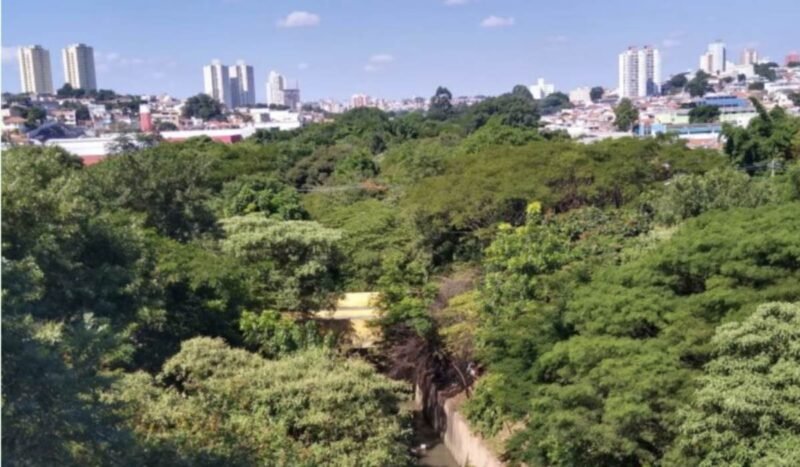 El verde aún no esponja a las grandes urbes latinoamericanas