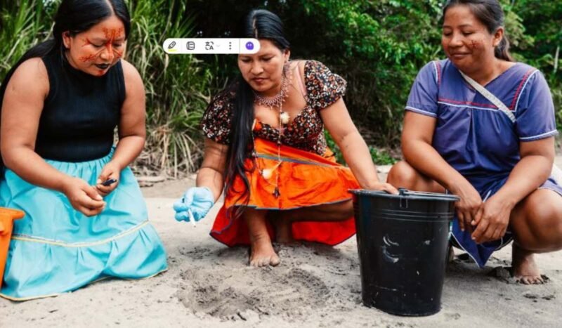 Mujeres Tortuga: la iniciativa del pueblo indígena siekopai para recuperar las charapas del río Aguarico