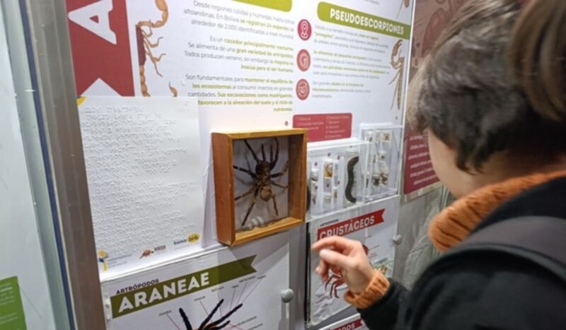 El Museo Nacional de Historia Natural incluirá el braille en sus recorridos