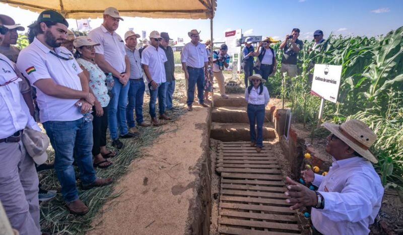 Productores de trigo plantean agenda para recuperar la producción nacional y fortalecer la seguridad alimentaria
