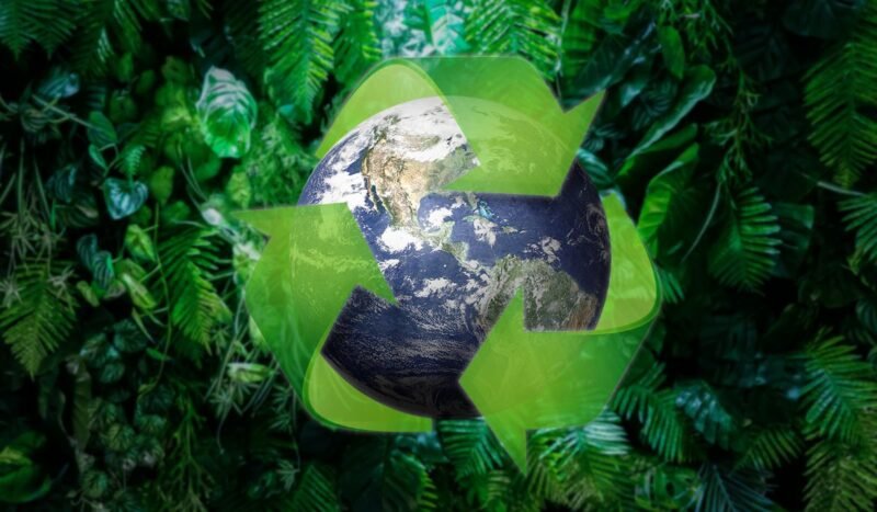 Bosques, fibras y residuos: el potencial que la economía circular aún no aprovecha