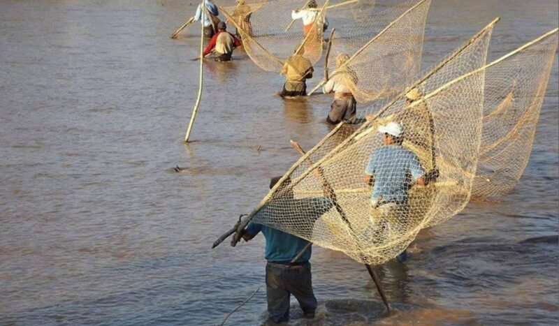 La pesca tradicional weenhayek y el ají chuquisaqueño ya son parte del Food Atlas de la Unesco