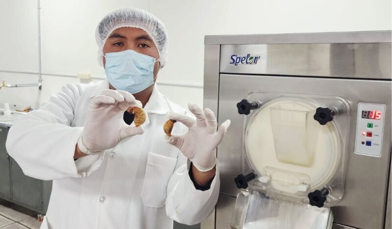 La UMSA explora el potencial de los insectos comestibles y desarrolla un helado con tuyu tuyu amazónico