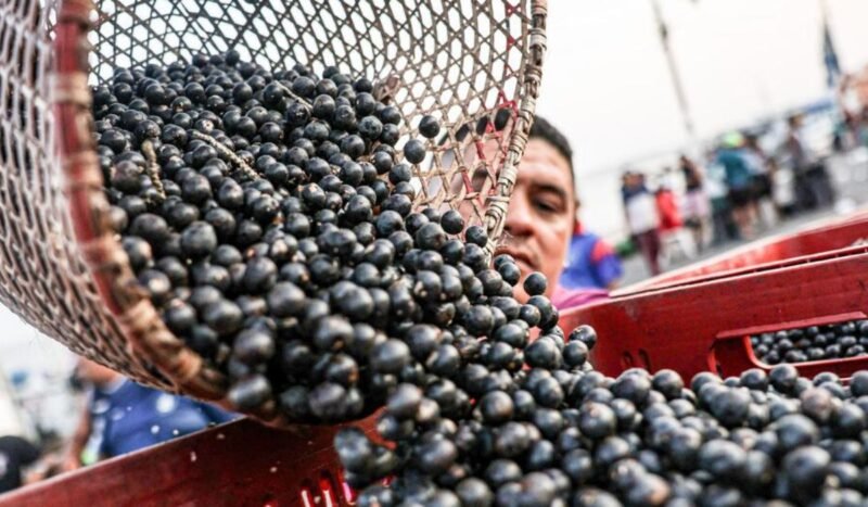 América Latina busca convertir su potencial agroalimentario en inversiones para el campo