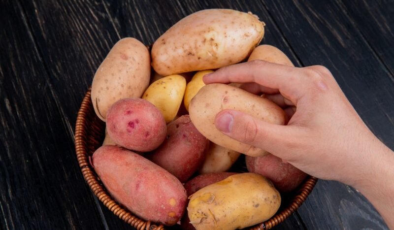 Mejorando las papas genéticamente