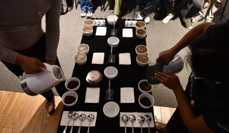 BDP apoyará a productores de café desde las parcelas hasta una subasta internacional