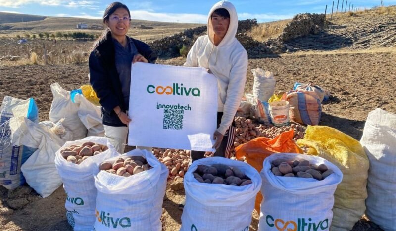 Cooltiva evoluciona de un marketplace agrícola a una plataforma que conecta producción, logística y financiamiento