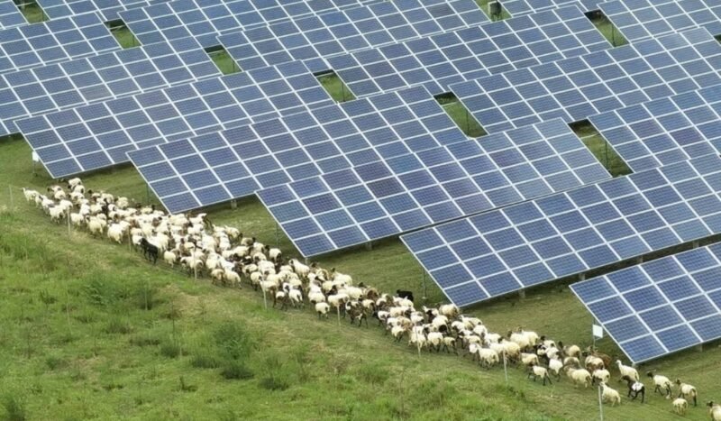 Las energías renovables baten récords, pero las redes eléctricas no logran seguirles el paso
