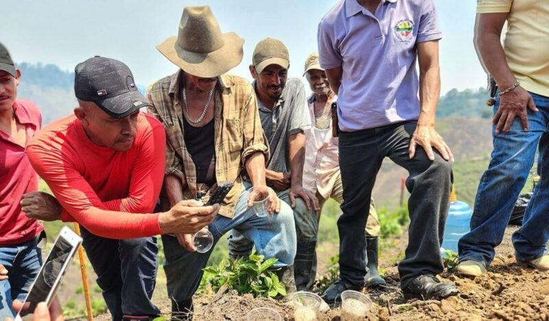 La crisis climática cambió las reglas: comunidades generan sus propios datos para enfrentar sequías, incendios e inundaciones