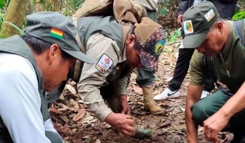 Gobierno descarta despidos y garantiza estabilidad laboral de los guardaparques en Bolivia