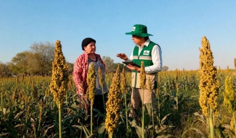 El Censo Agropecuario está en marcha y actualizará los datos sobre qué se produce y dónde se produce en Bolivia