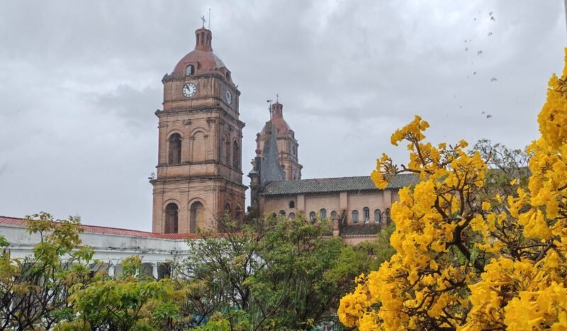 La ciudad que queremos que florezca