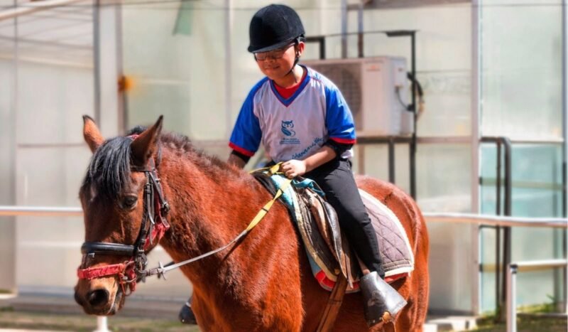 Caballos como aliados terapéuticos: la experiencia que impulsa la UMSA en La Paz