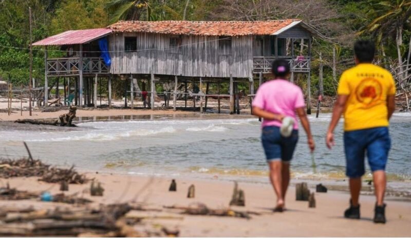 El Niño se fortalece y amenaza la salud de millones de personas en las Américas