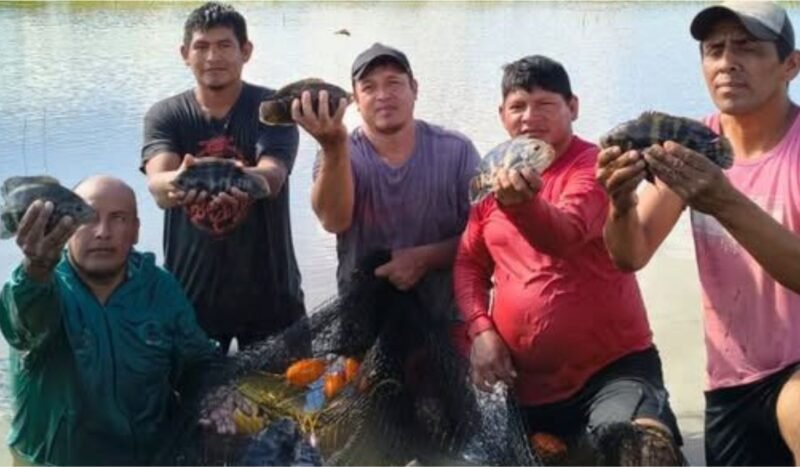 Cambio climático: investigaciones buscan mejorar la producción de café en La Paz y de peces y arroz en Beni