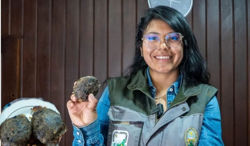 Estudiante de la UMSA reinventa el chuño como un relleno para conquistar nuevos paladares