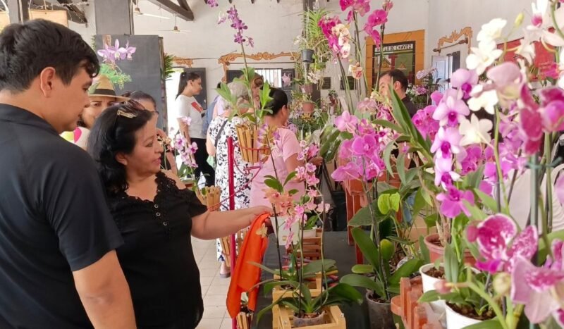 Todo listo para el Festival de la Orquídea: Concepción mostrará naturaleza, cultura y turismo comunitario