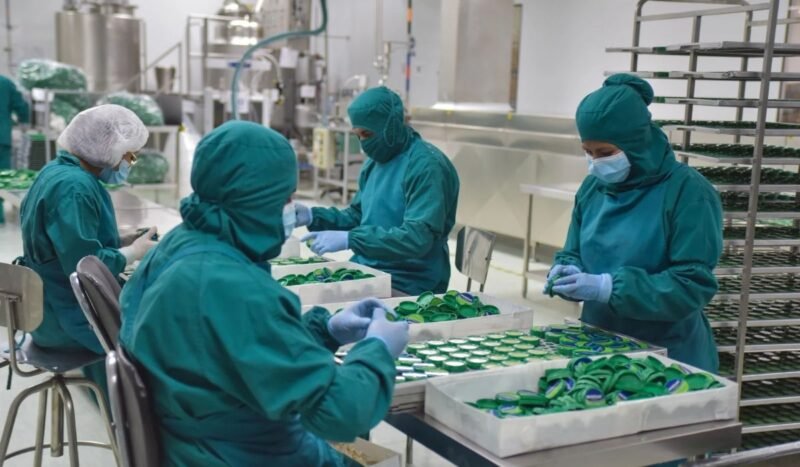 Las seis plantas de INTI renuevan su certificación de Buenas Prácticas de Manufactura