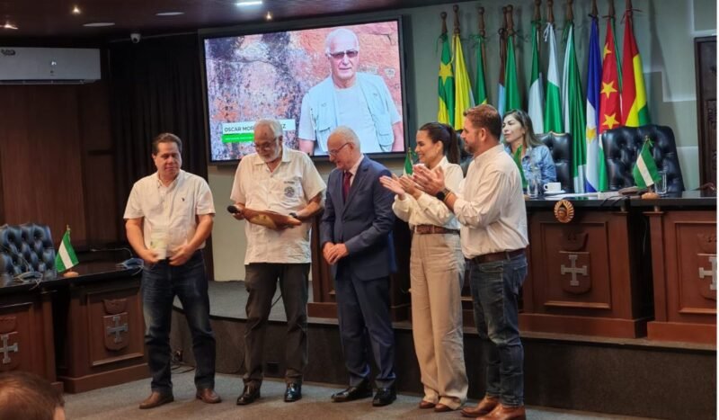Una ley declara estratégicas ocho palmeras nativas y abre una ruta para su aprovechamiento sostenible