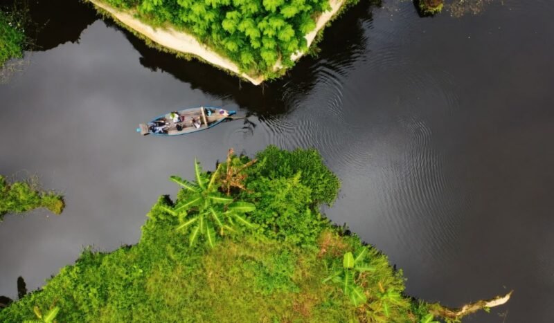 Un decreto aprueba la estrategia de biodiversidad de Bolivia, con 17 metas de conservación, financiamiento y sostenibilidad